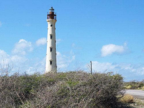 Aruba  Oranjestad Museums Scooter Tour Booking