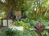 Barbados Nature Wonders and Harrisons Cave Excursion Excellent Nature Tour for Animal Lovers