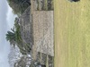 Belize City and Altun Ha Mayan Ruins Sightseeing Excursion with Lunch Would book again