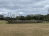 Belize City and Altun Ha Mayan Ruins Sightseeing Excursion with Lunch Would book again