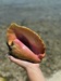 Belize Goff's Caye Island Beach Getaway and Snorkel Excursion Love!