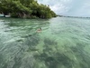 Belize Hol Chan Marine Reserve & Shark Ray Alley Snorkel Excursion Adventure with Caye Caulker Island Beach Break Best time!!!