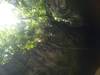 Belize Nohoch Che'en Caves Branch Cave Tubing Excursion First time Cave Tubers!