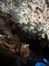 Belize Nohoch Che'en Caves Branch Cave Tubing Excursion with Lunch Had a blast