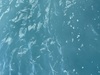 Belize Shark Ray Alley, Coral Gardens Snorkel, and Caye Caulker Island Beach Excursion Amazing Excursion