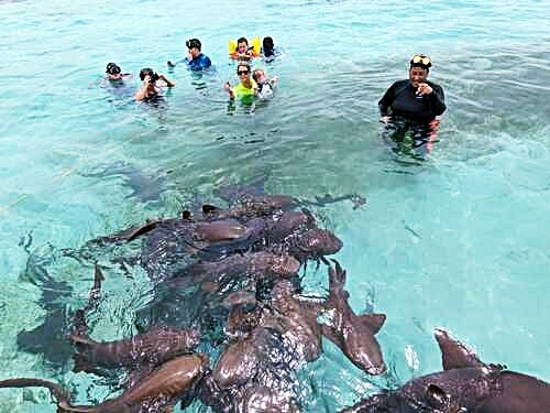 Belize Family Snorkeling Tour Prices