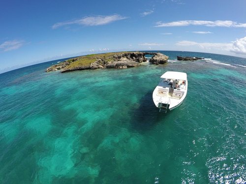St. Johns speedboat Tour Reviews
