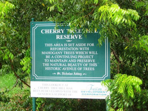 Barbados  West Indies (Bridgetown) around the island tour Tickets