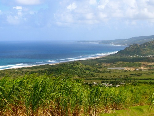 Barbados windmill Reviews