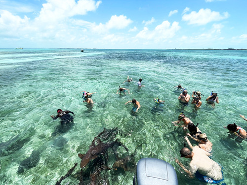 Belize City Hol Chan Reserve Park Excursion Prices
