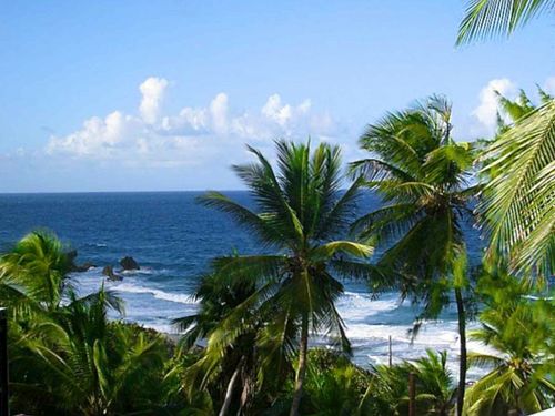 Barbados  West Indies (Bridgetown) sightseeing Excursion