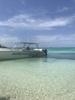 St. John's Antigua Power Catamaran Eco Snorkel Excursion If you go to Antigua, This is a MUST