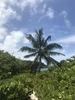 St. John's Antigua Power Catamaran Eco Snorkel Excursion If you go to Antigua, This is a MUST