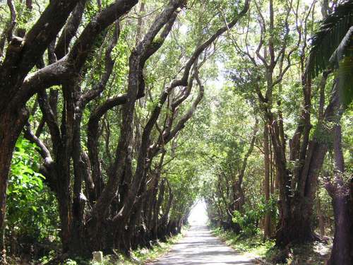 Barbados  West Indies (Bridgetown) Carlisle Bay Cruise Excursion